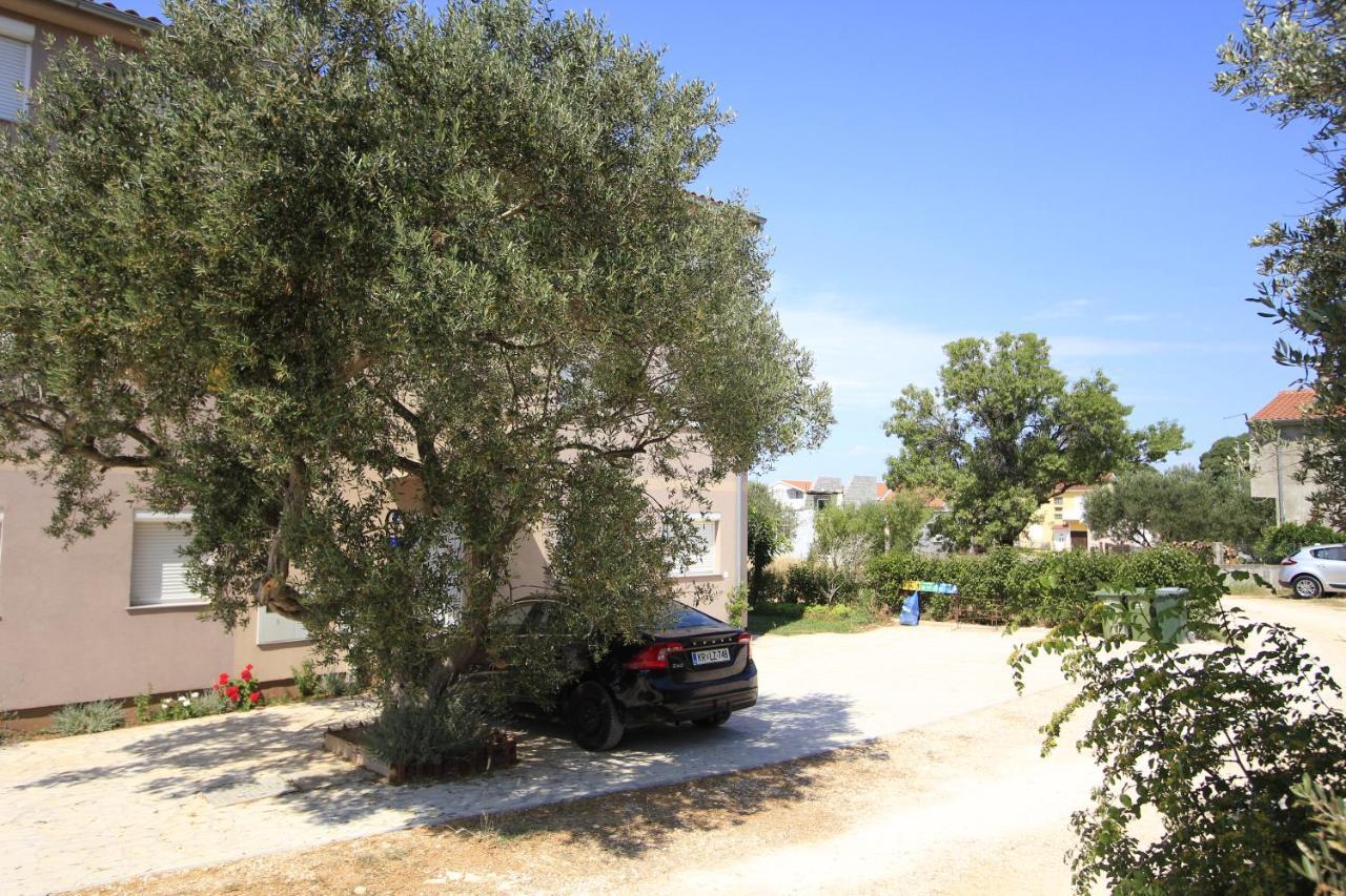 Apartmani Neja Bibinje Dış mekan fotoğraf